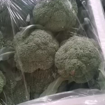 西兰花