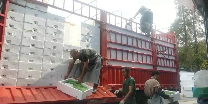 大量批发牛蛙，源头直供，一手货源，货源稳定，欢迎实地考察