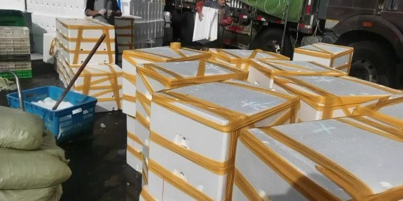 大量批发牛蛙，源头直供，一手货源，货源稳定，欢迎实地考察