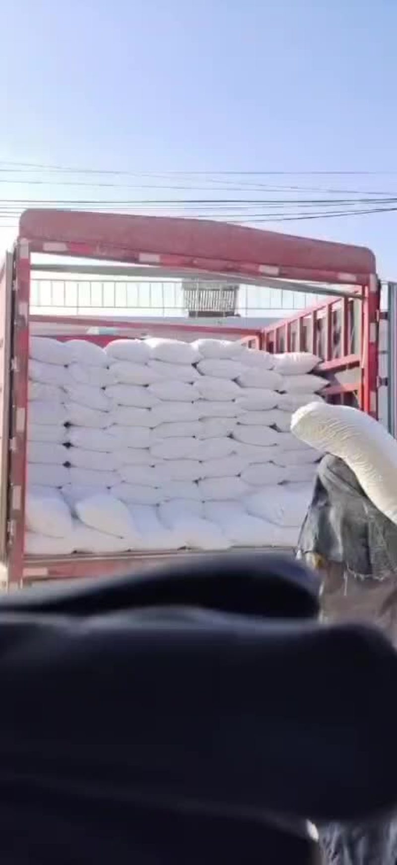 玉米淀粉颗粒