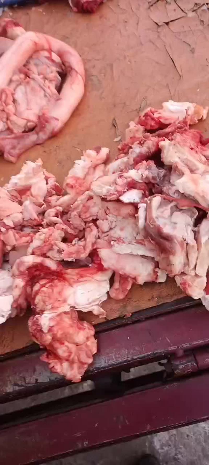 现杀现煮老水牛肉