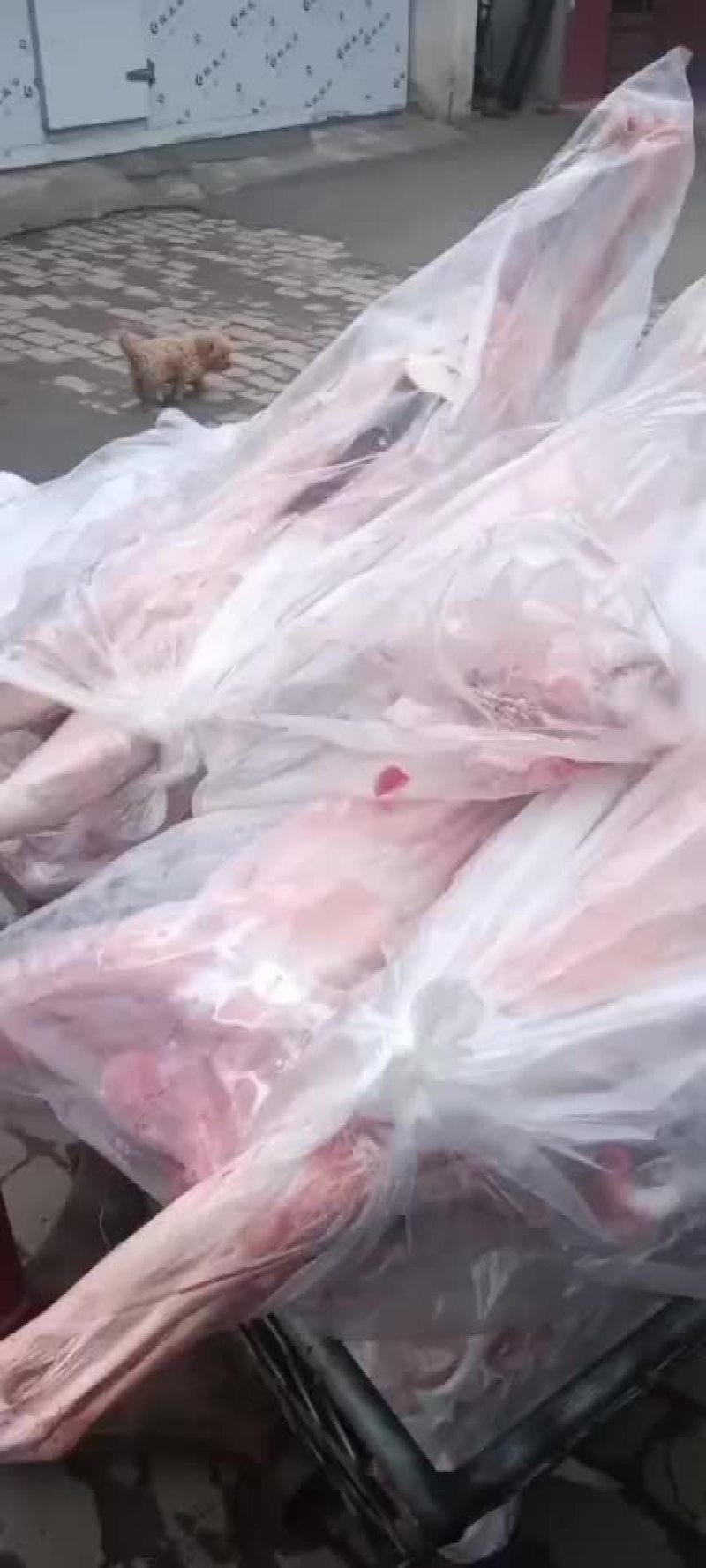 羊腔子