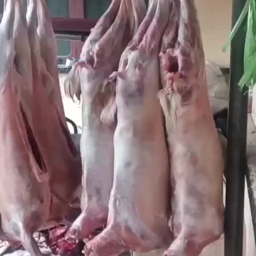 羊腔子