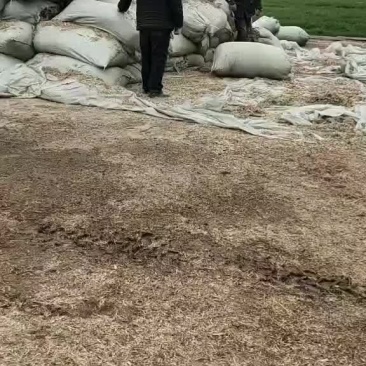 花生秧草料