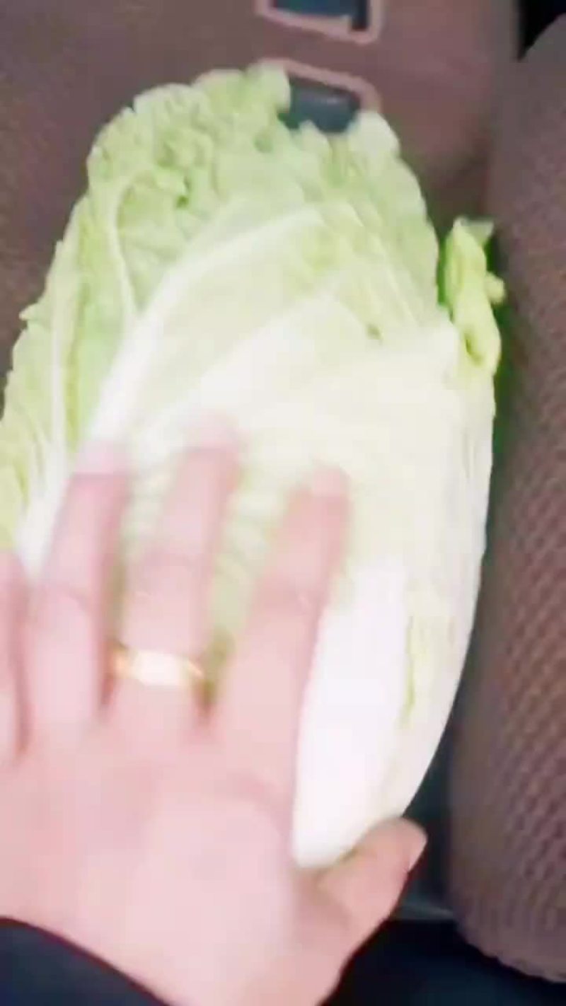 黄心白菜