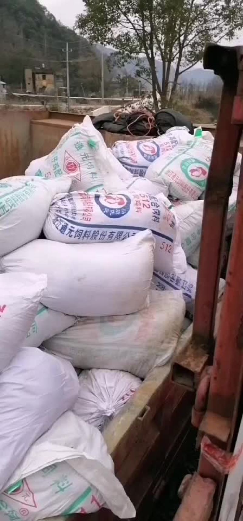 鸡粪
