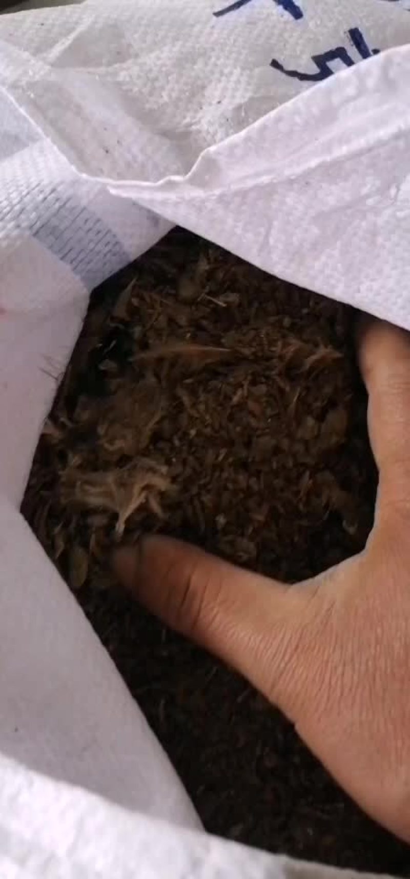 鸡粪