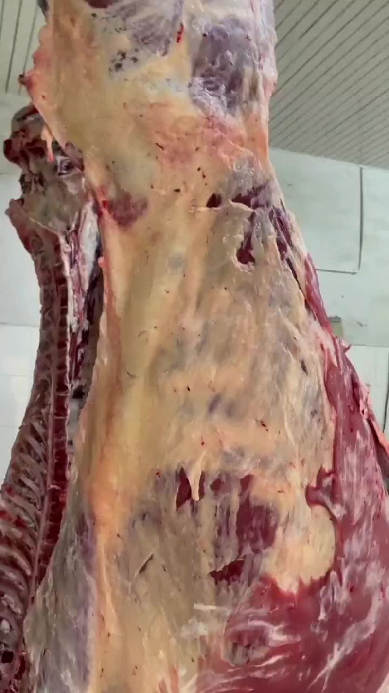 鲜牛酮体