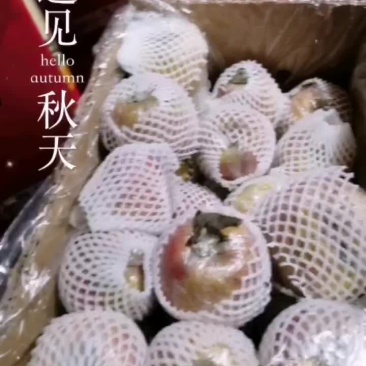 冠县红富士