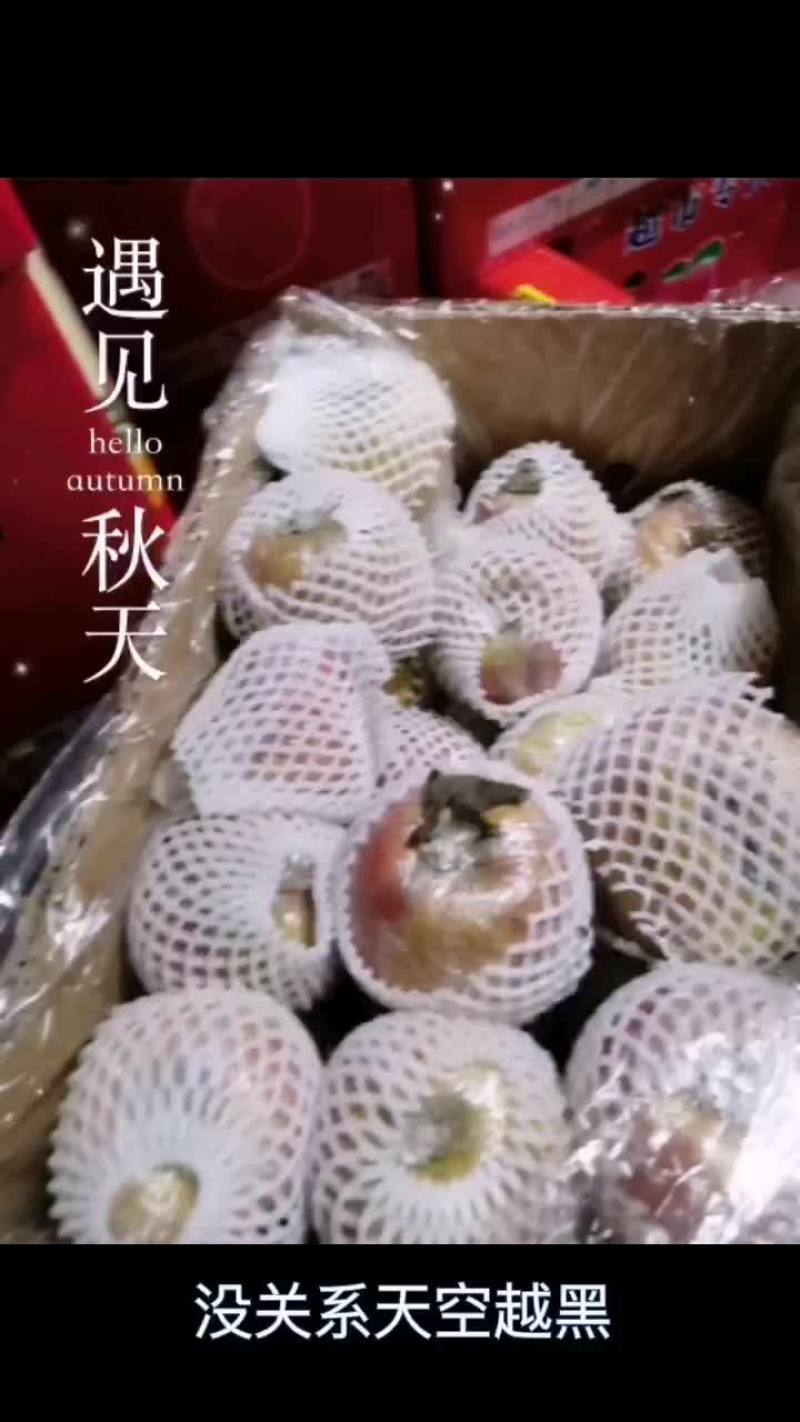 冠县红富士