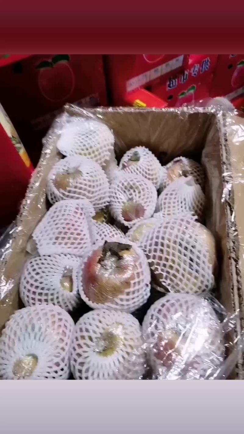 冠县红富士