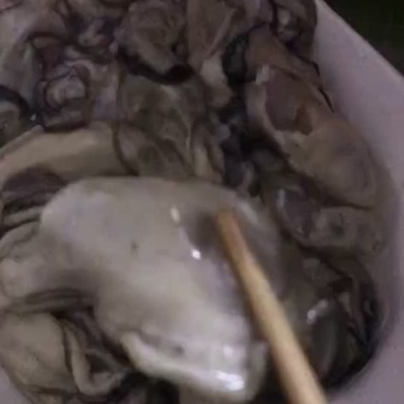 湛江生蚝肉