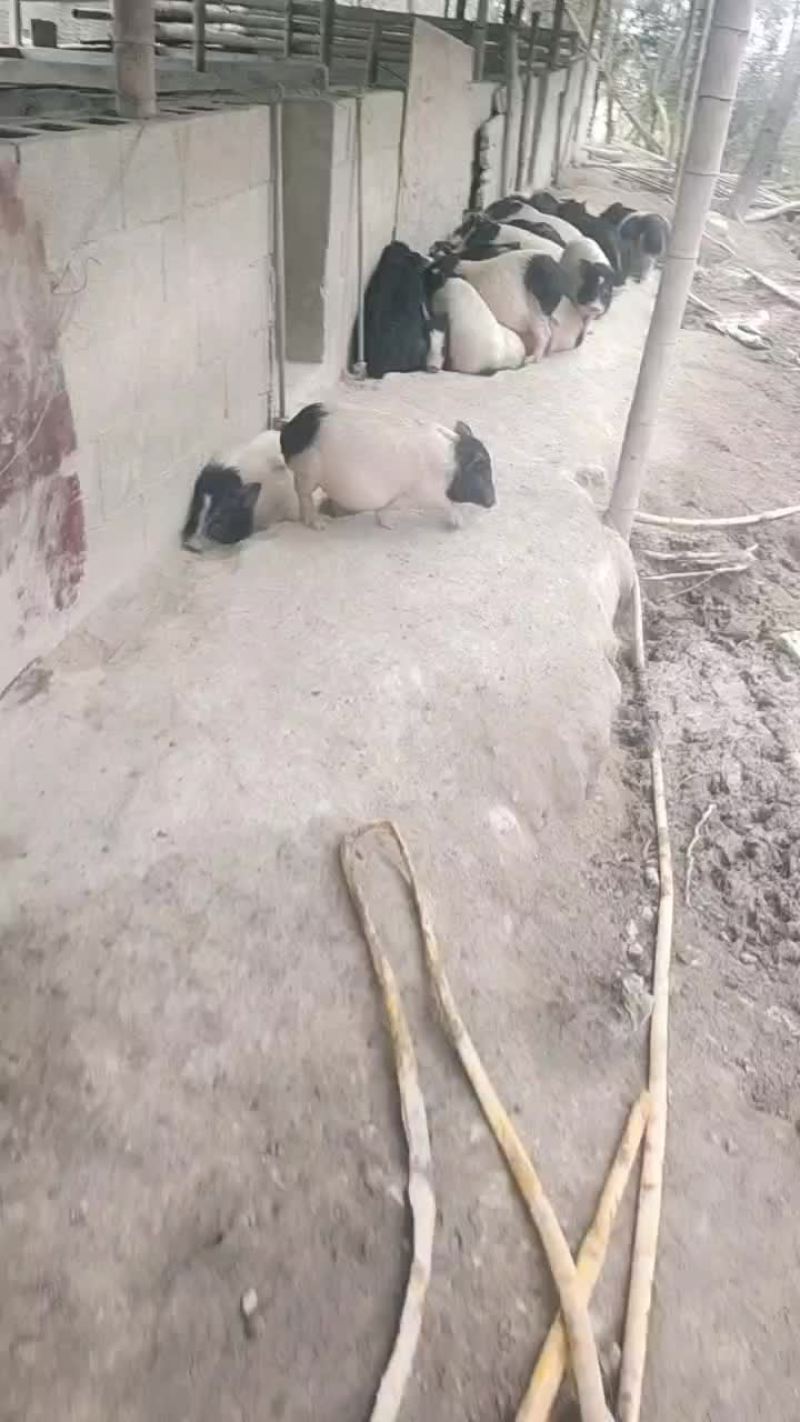 大小都有价格优惠