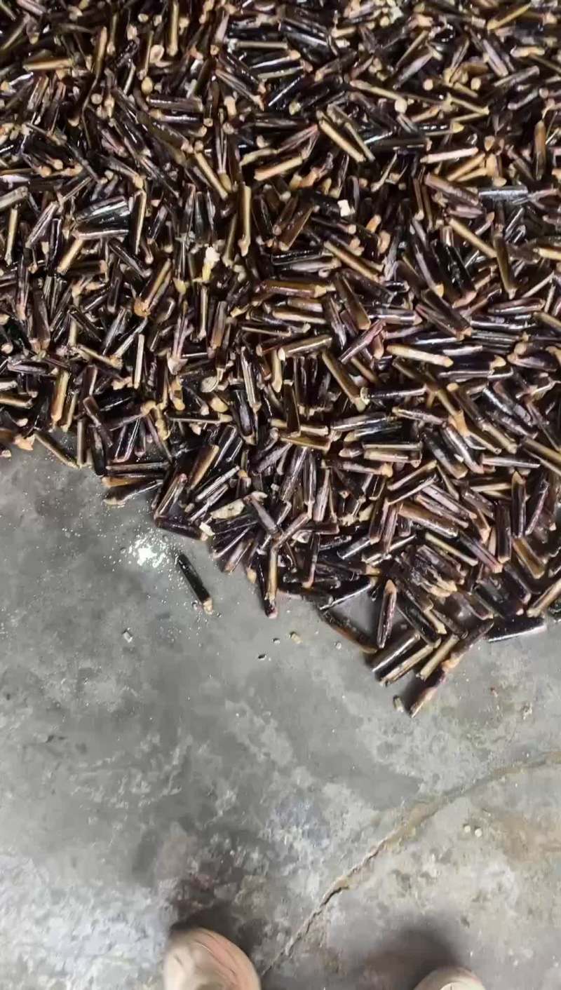 原产地
