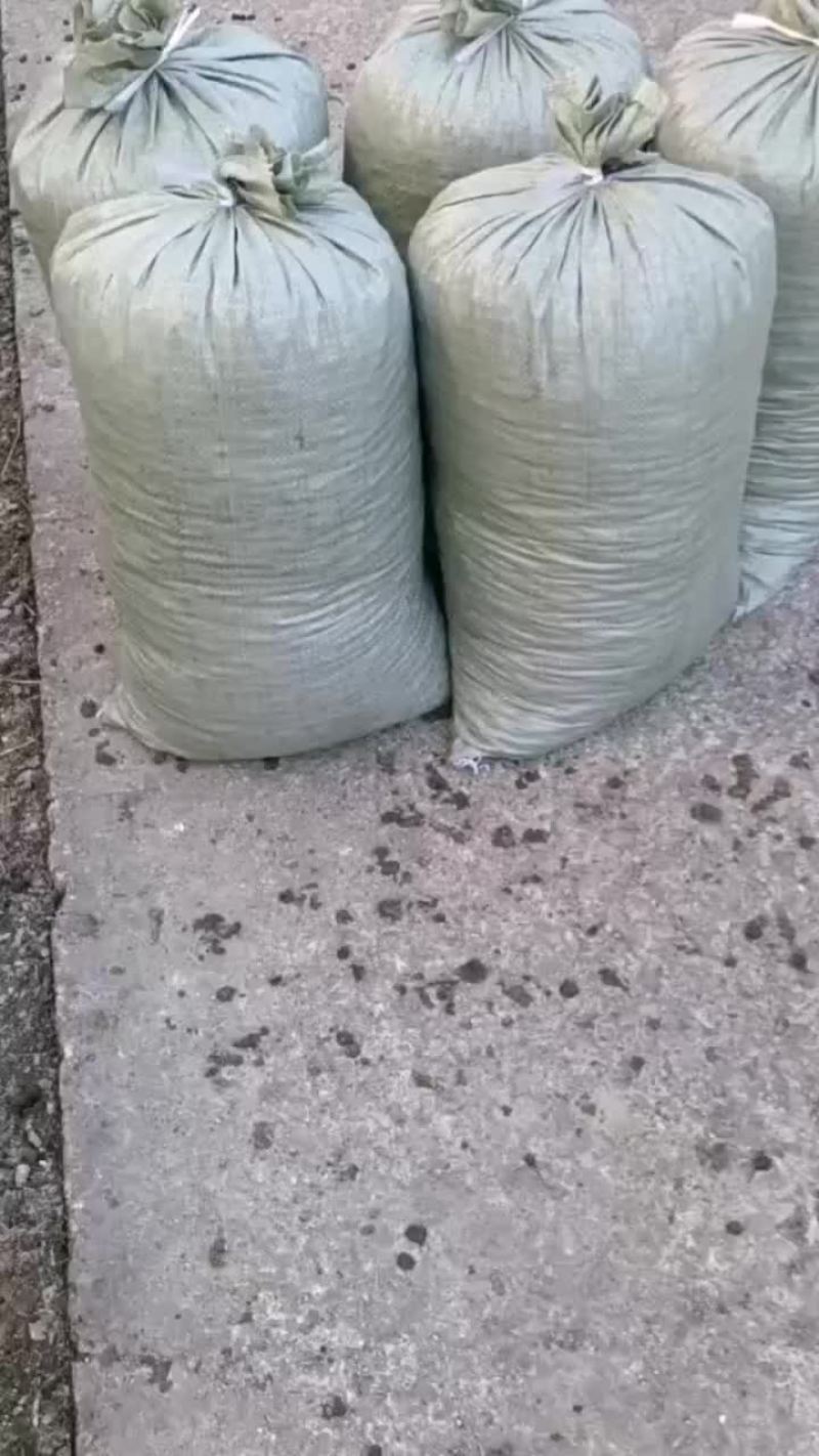 羊粪
