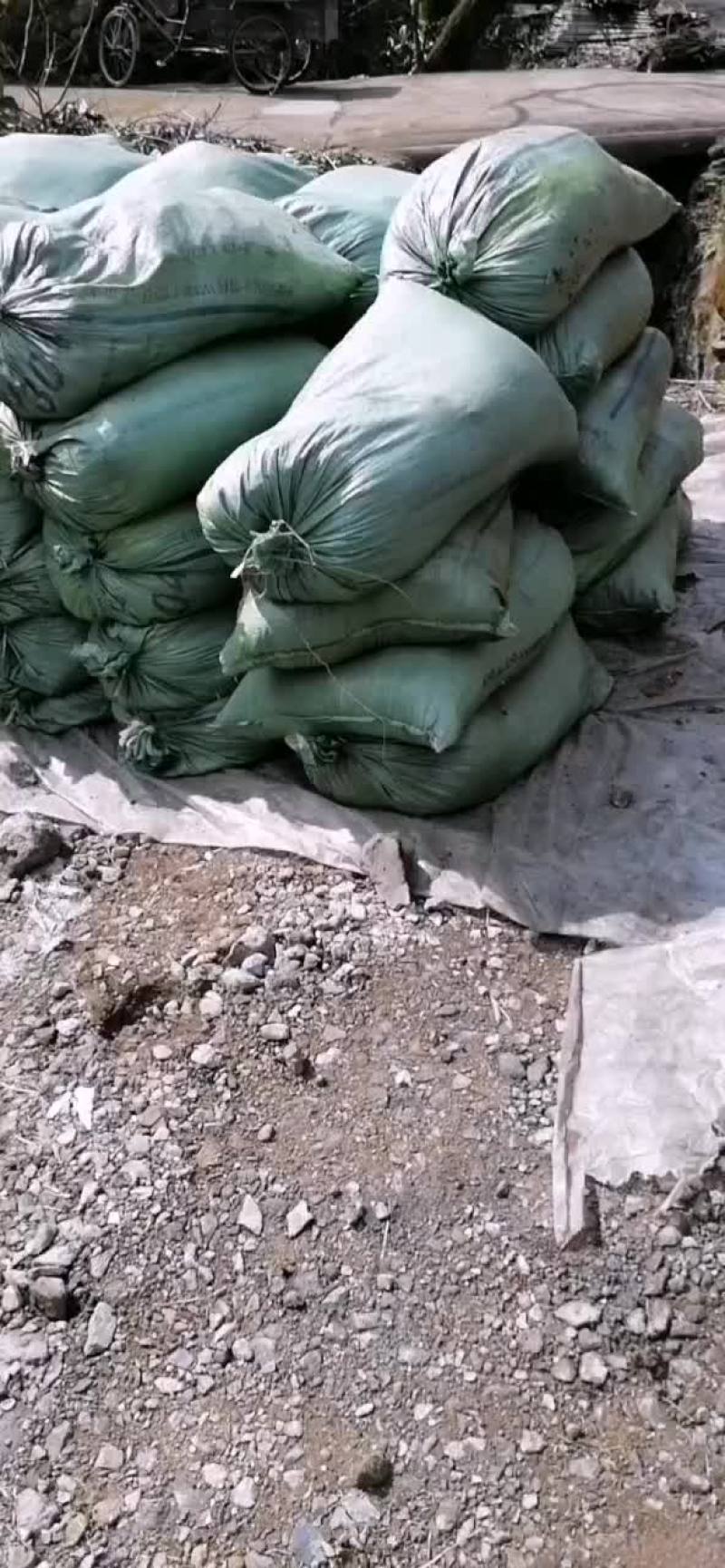 羊粪