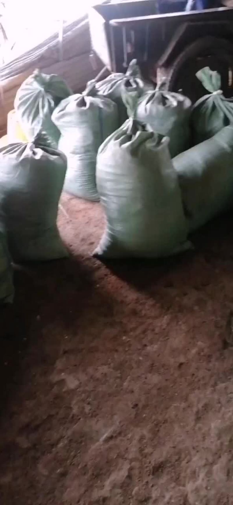 羊粪