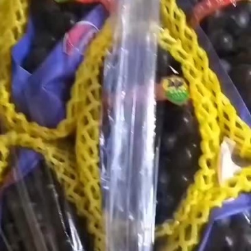 巨峰葡萄