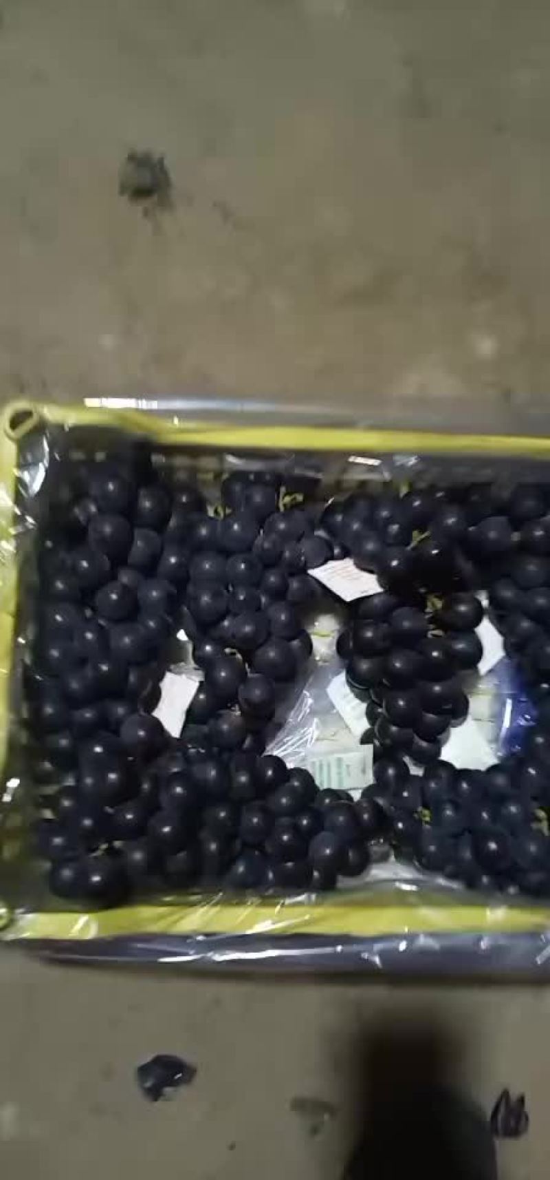 巨峰葡萄