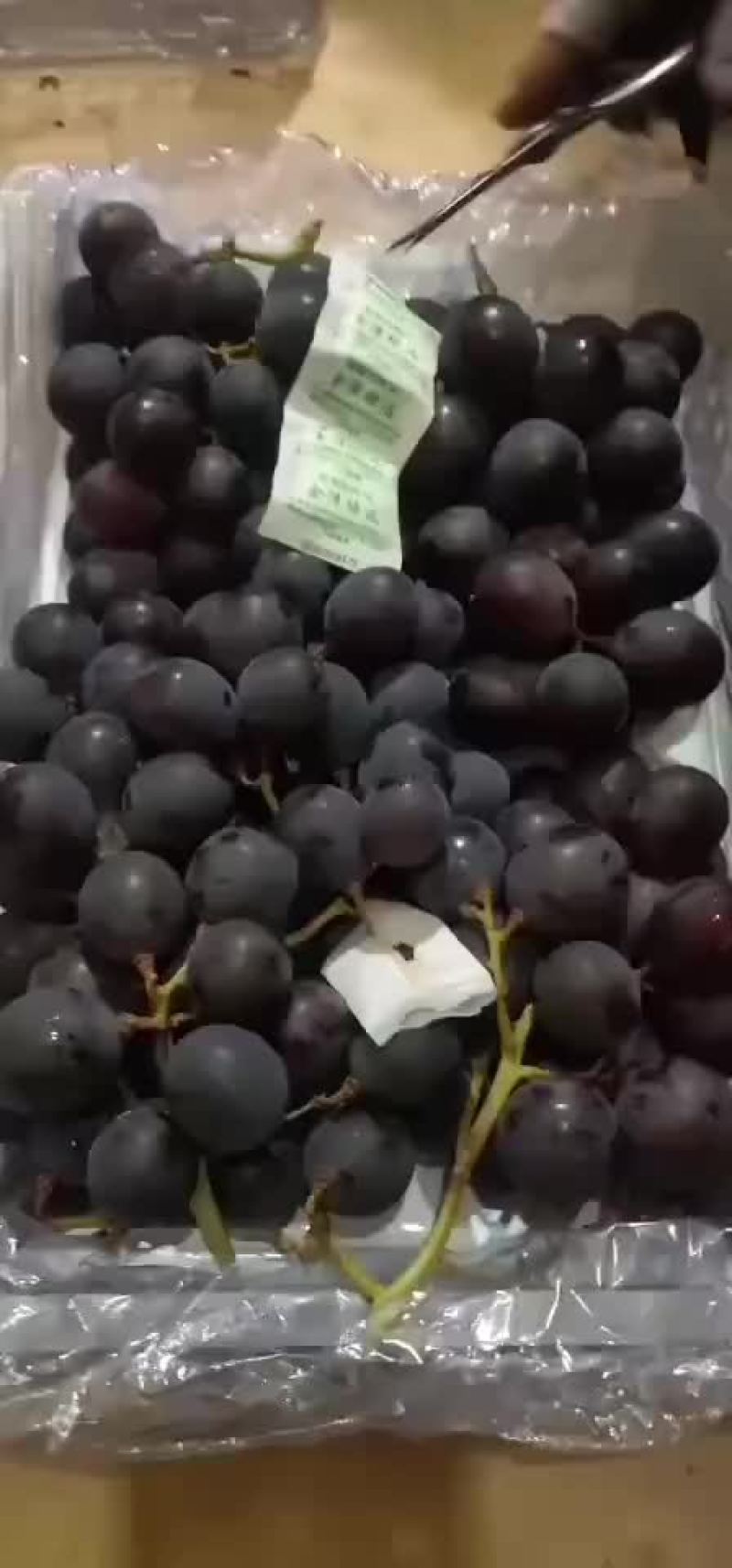 巨峰葡萄