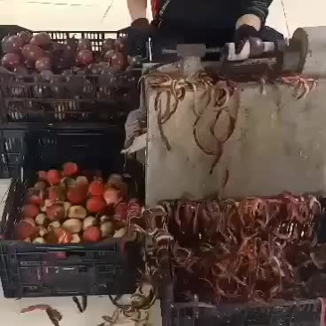 百香果皮