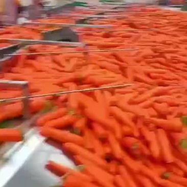精品中条价格不高，需要的可以联系