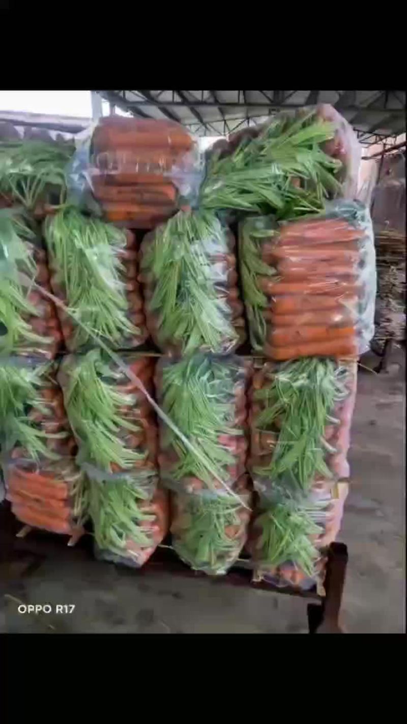 精品中条价格不高，需要的可以联系