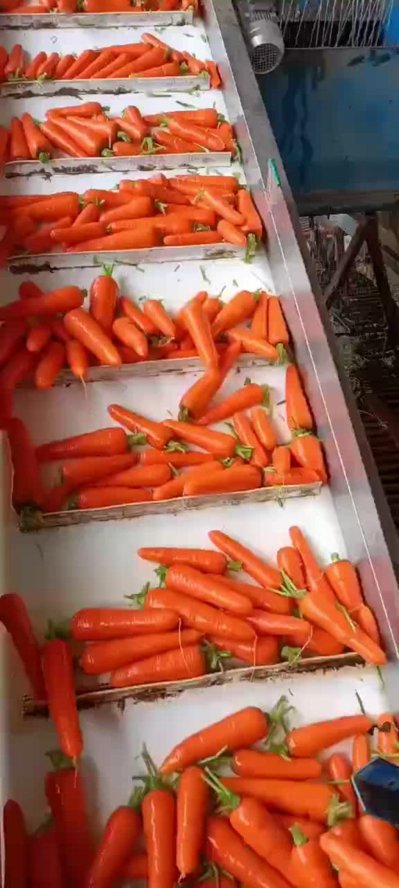 精品中条价格不高，需要的可以联系