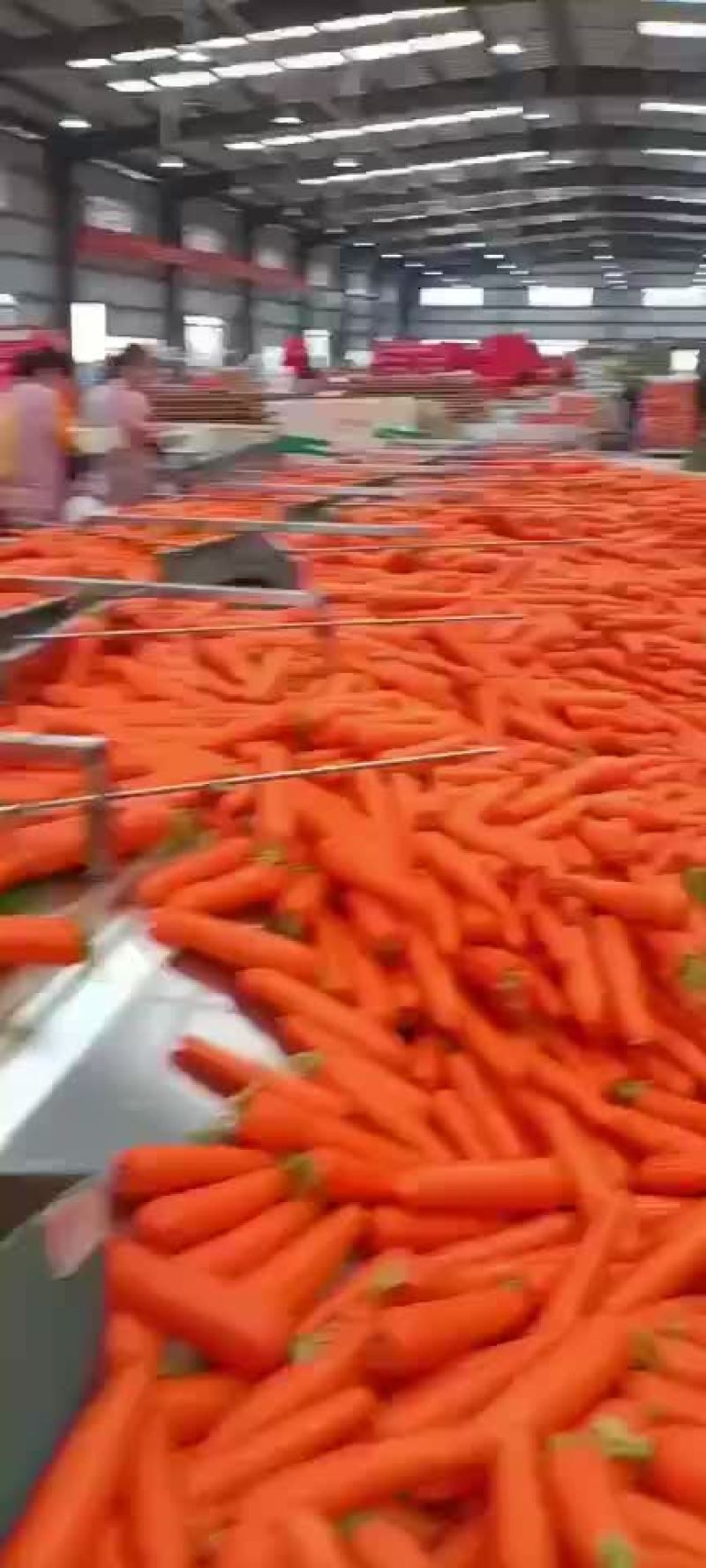精品中条价格不高，需要的可以联系