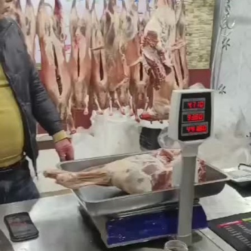 宁夏滩羊肉批发，零售