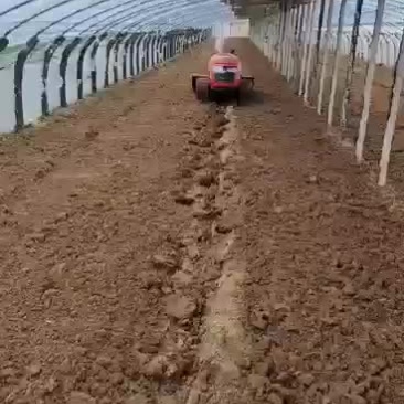 履带微耕机大棚旋耕机