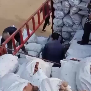 大量供应精品济薯26