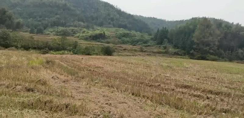 土地流转