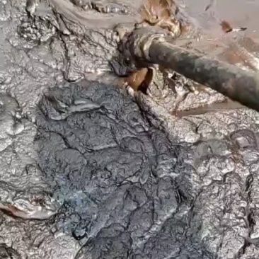 大量出售大豆植物油泥胡麻油油泥适合饲料肥料添加