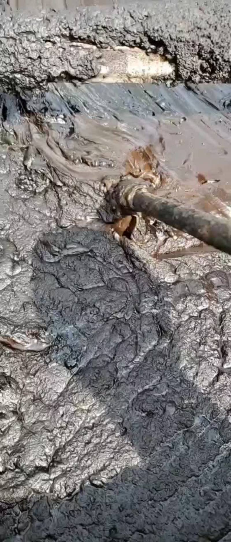 大量出售大豆植物油泥胡麻油油泥适合饲料肥料添加