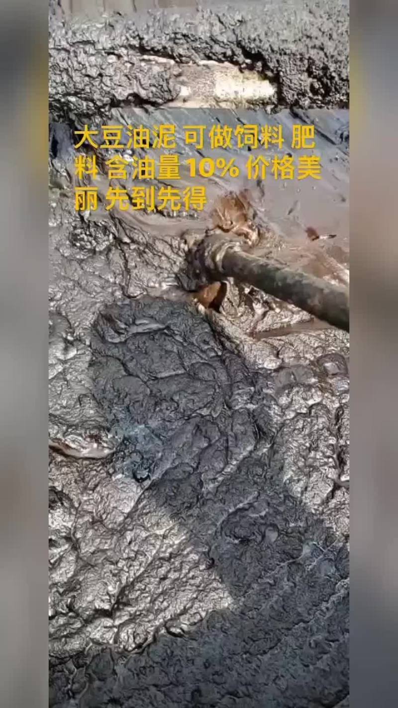 大量出售大豆植物油泥胡麻油油泥适合饲料肥料添加