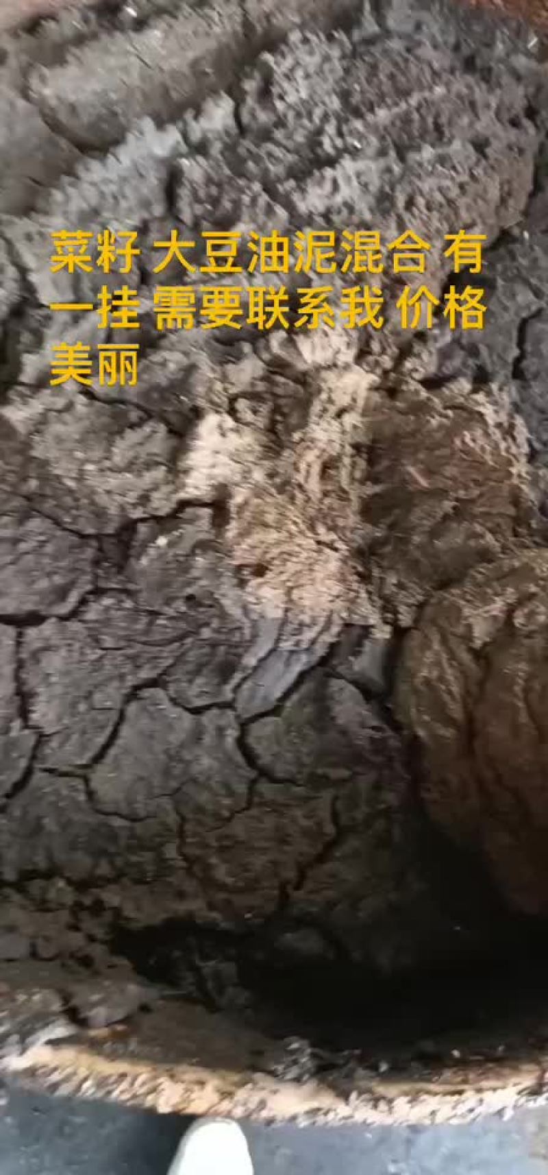 大量出售大豆植物油泥胡麻油油泥适合饲料肥料添加