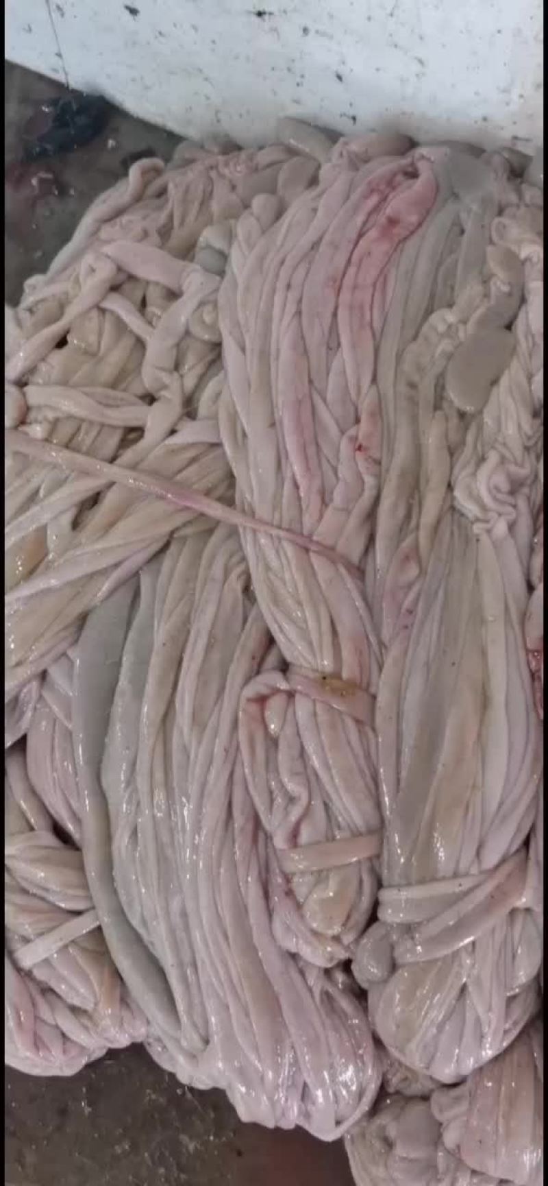 羊小