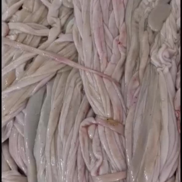羊小