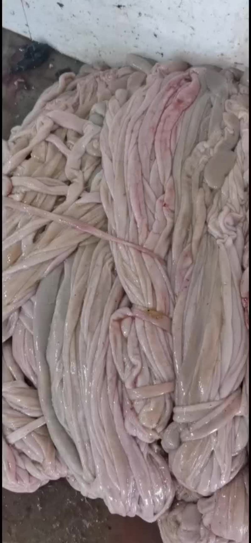 羊小
