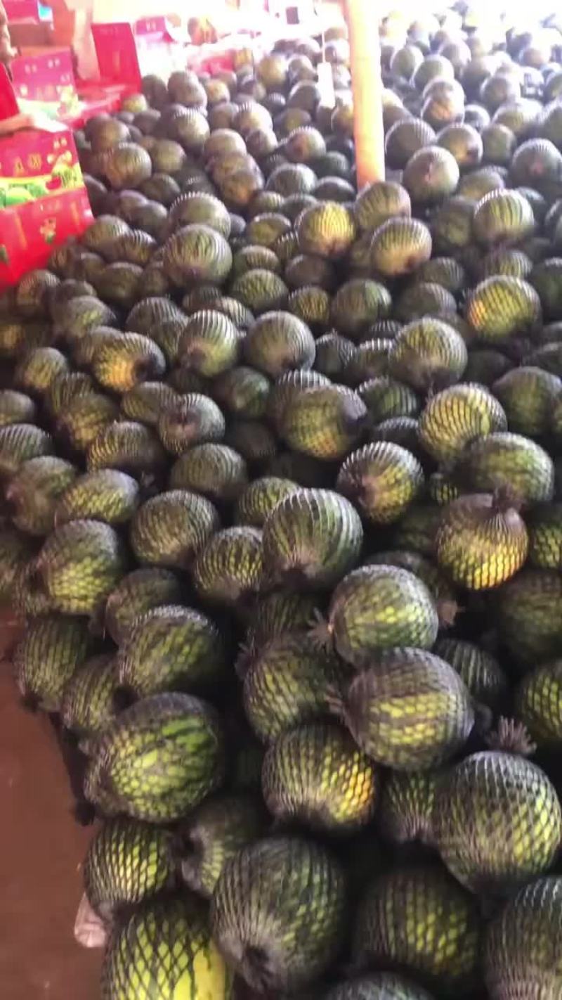 云南美嘟西瓜头茬大量供应皮薄瓢红包熟包甜货源充足