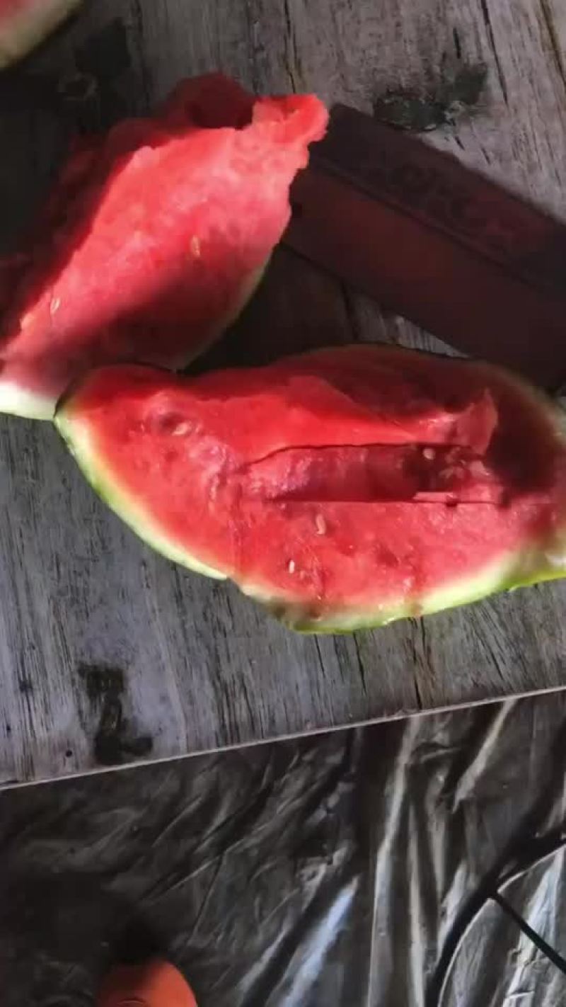 云南美嘟西瓜头茬大量供应皮薄瓢红包熟包甜货源充足