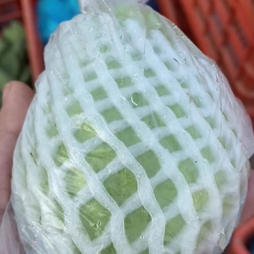 珍珠芭乐