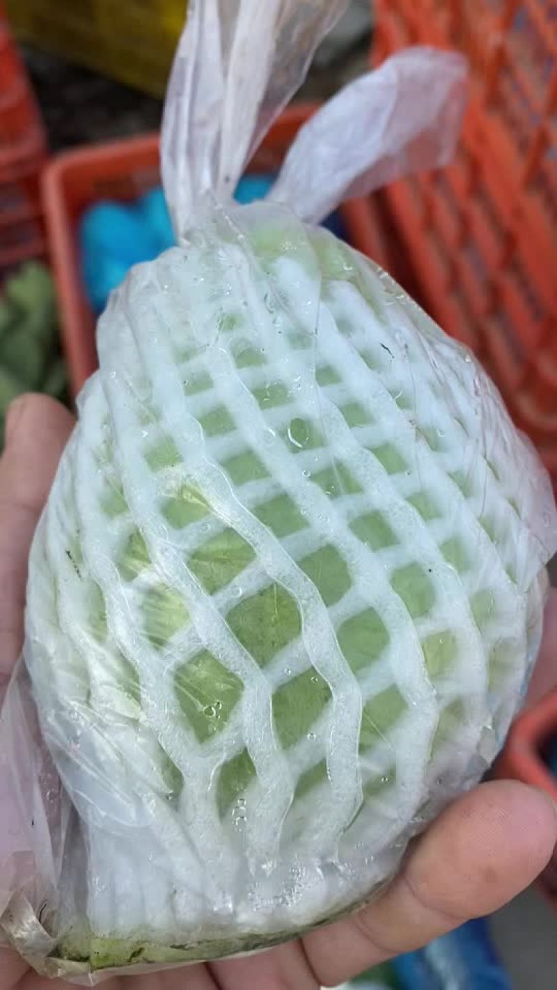珍珠芭乐