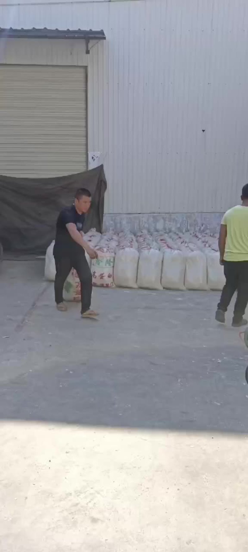 豆腐渣批发