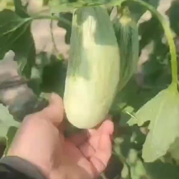 热门商品