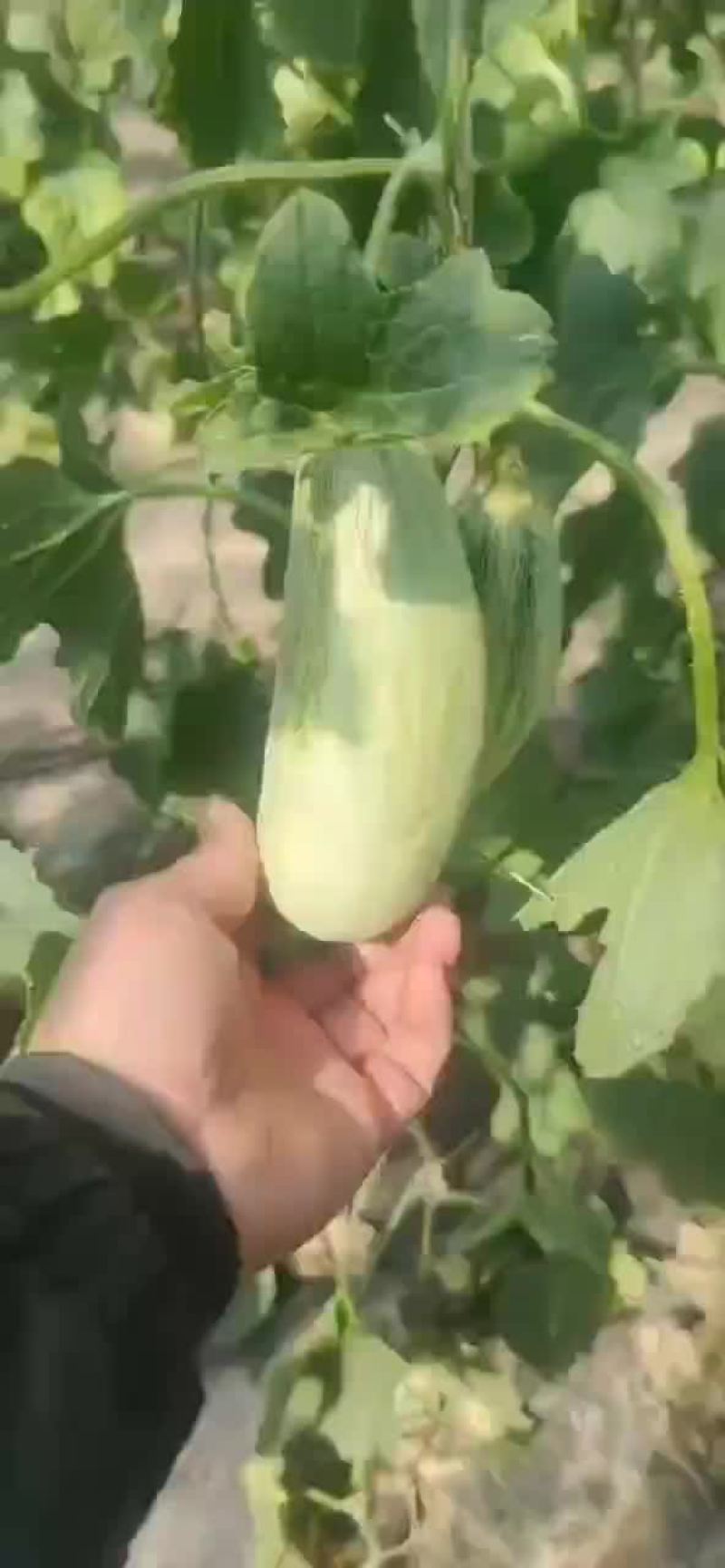 热门商品
