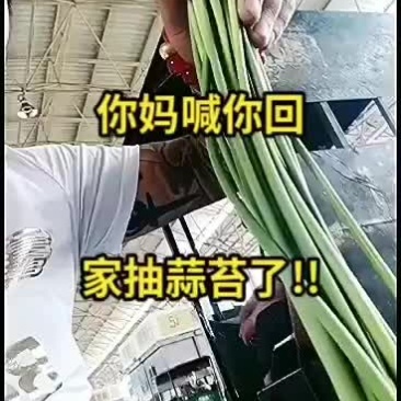 精品大白帽
