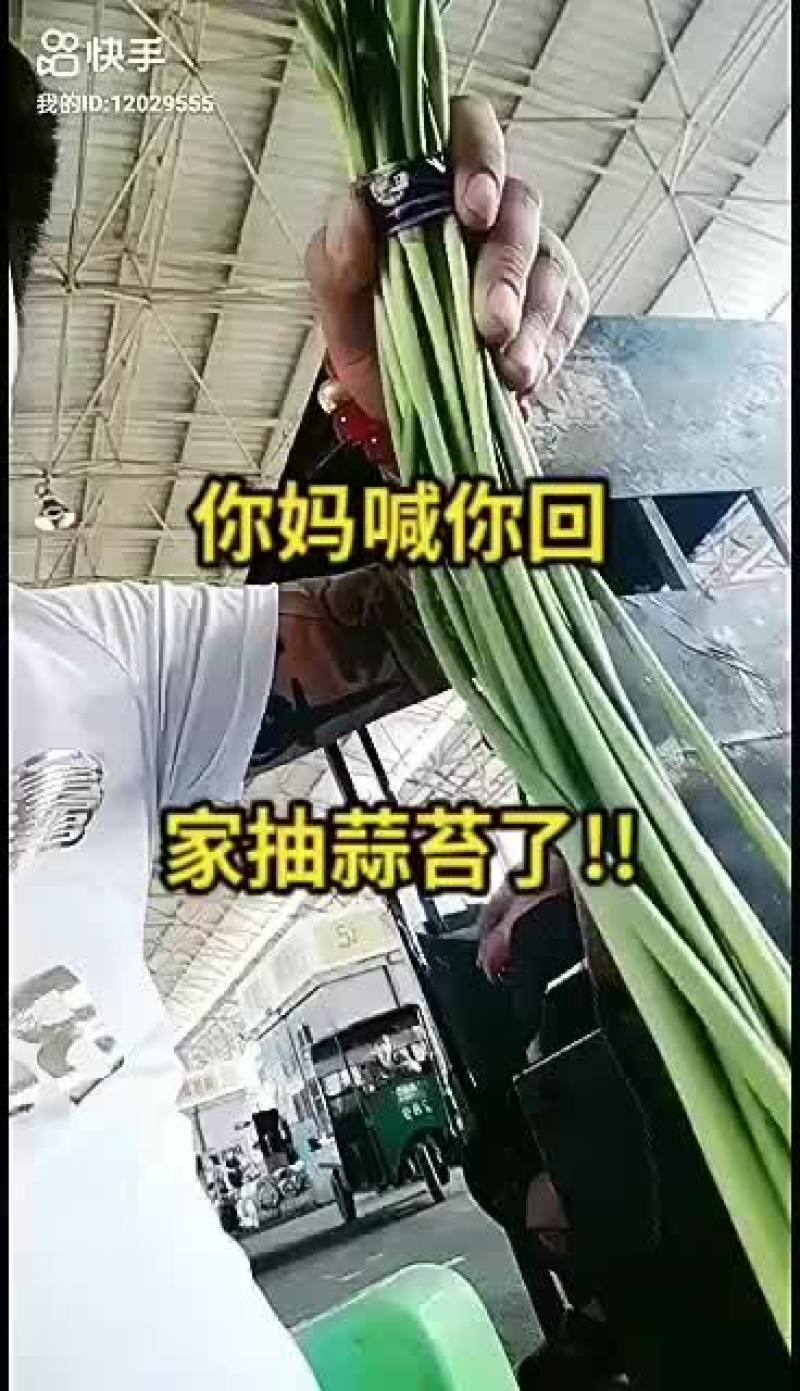 精品大白帽