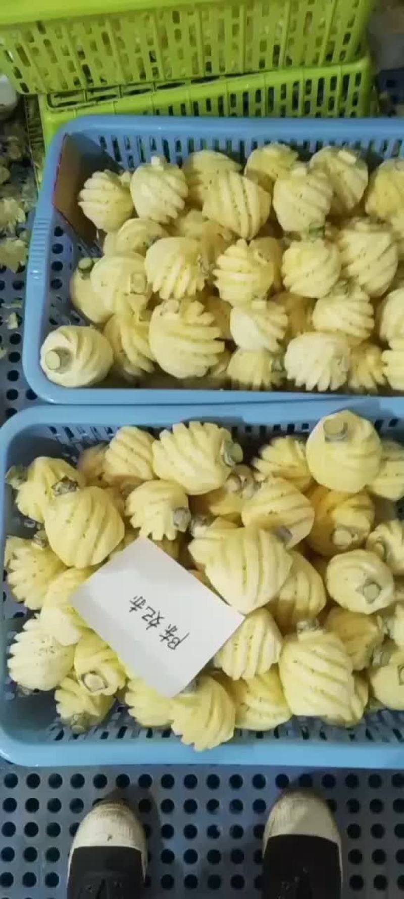 小菠萝